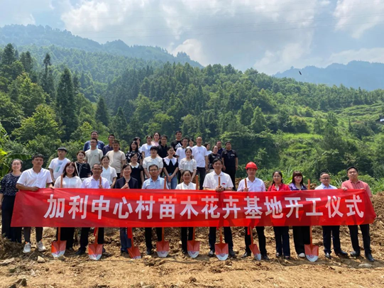 1655098894568935.png image.png