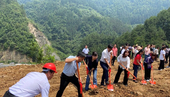 1655099017800299.png image.png