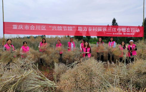 1683532774237738.png image.png