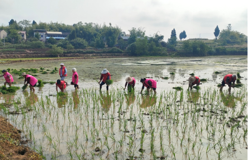 1683532789567247.png image.png