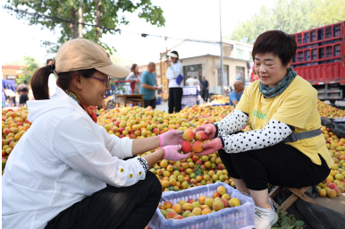 1687839600515531.png 保定4.png