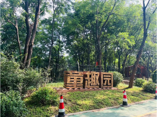 青岛5.png