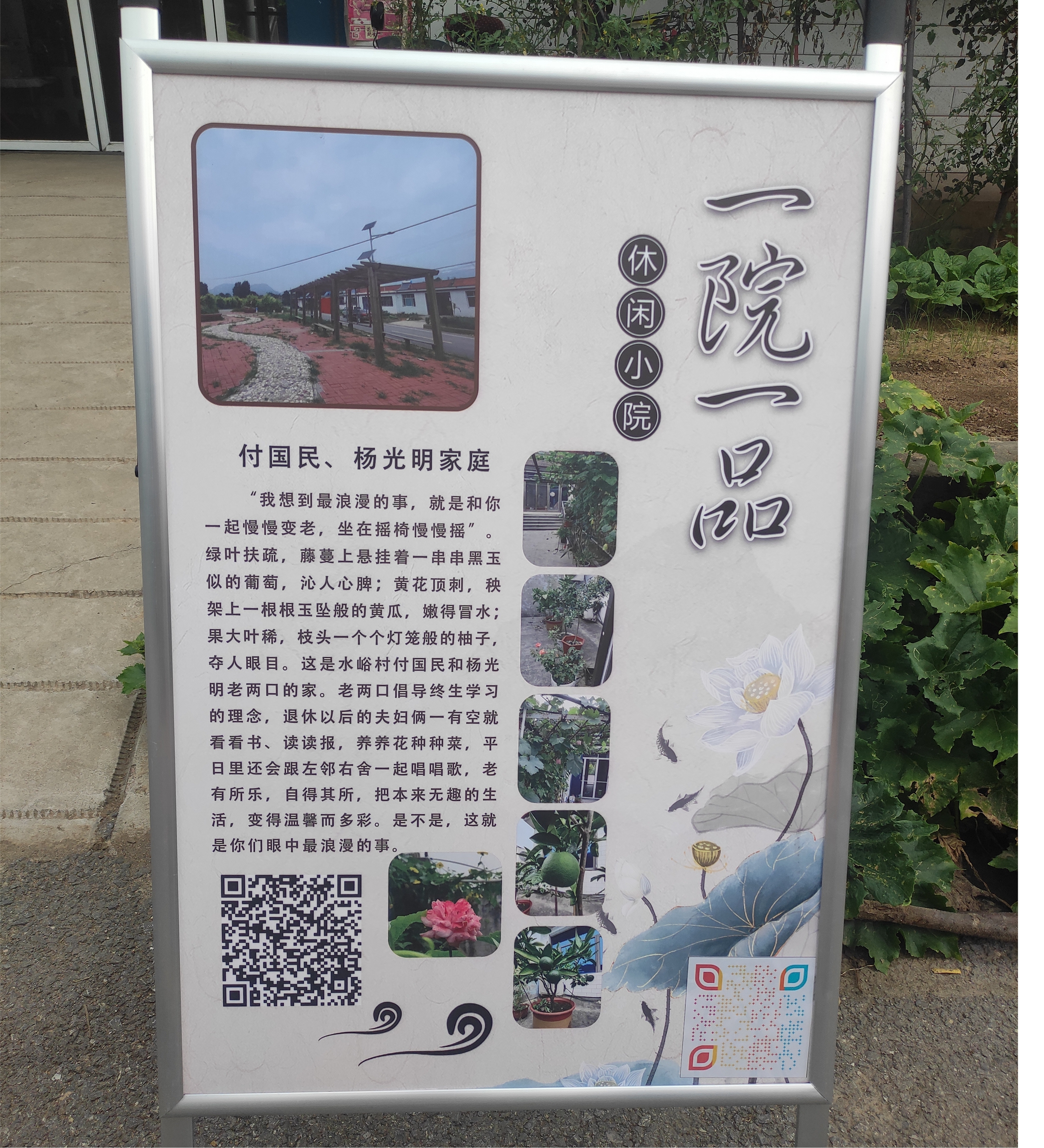 图片17.jpg