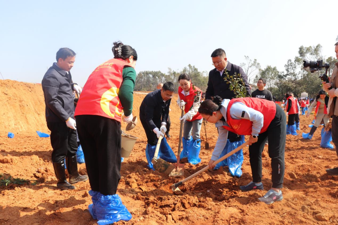 1710314538704667.png image.png