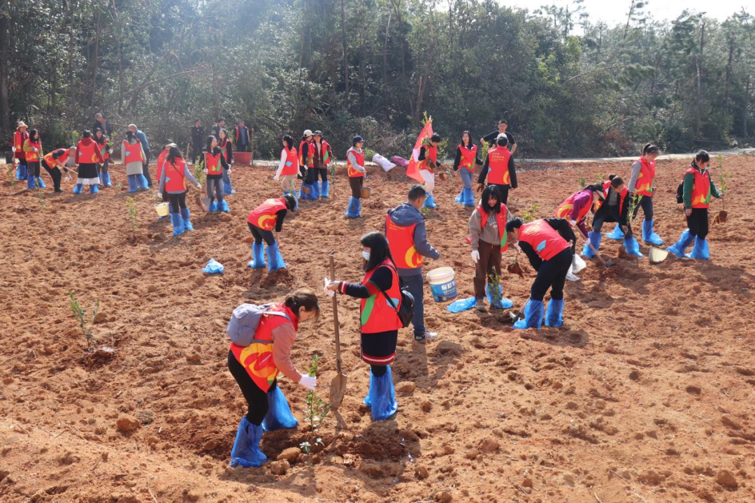 1710314550836359.png image.png