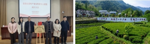 图片61.jpg