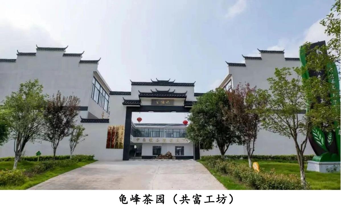 图片62.jpg