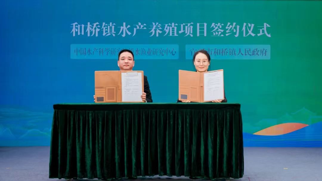 图片11.jpg