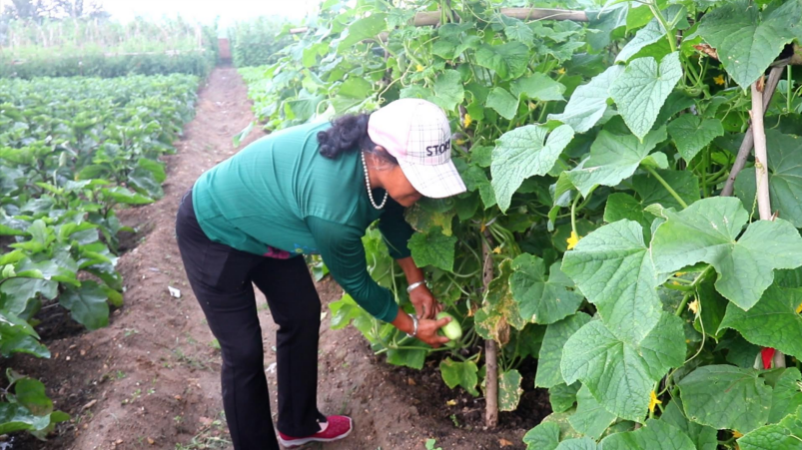 1723281103812770.png image.png