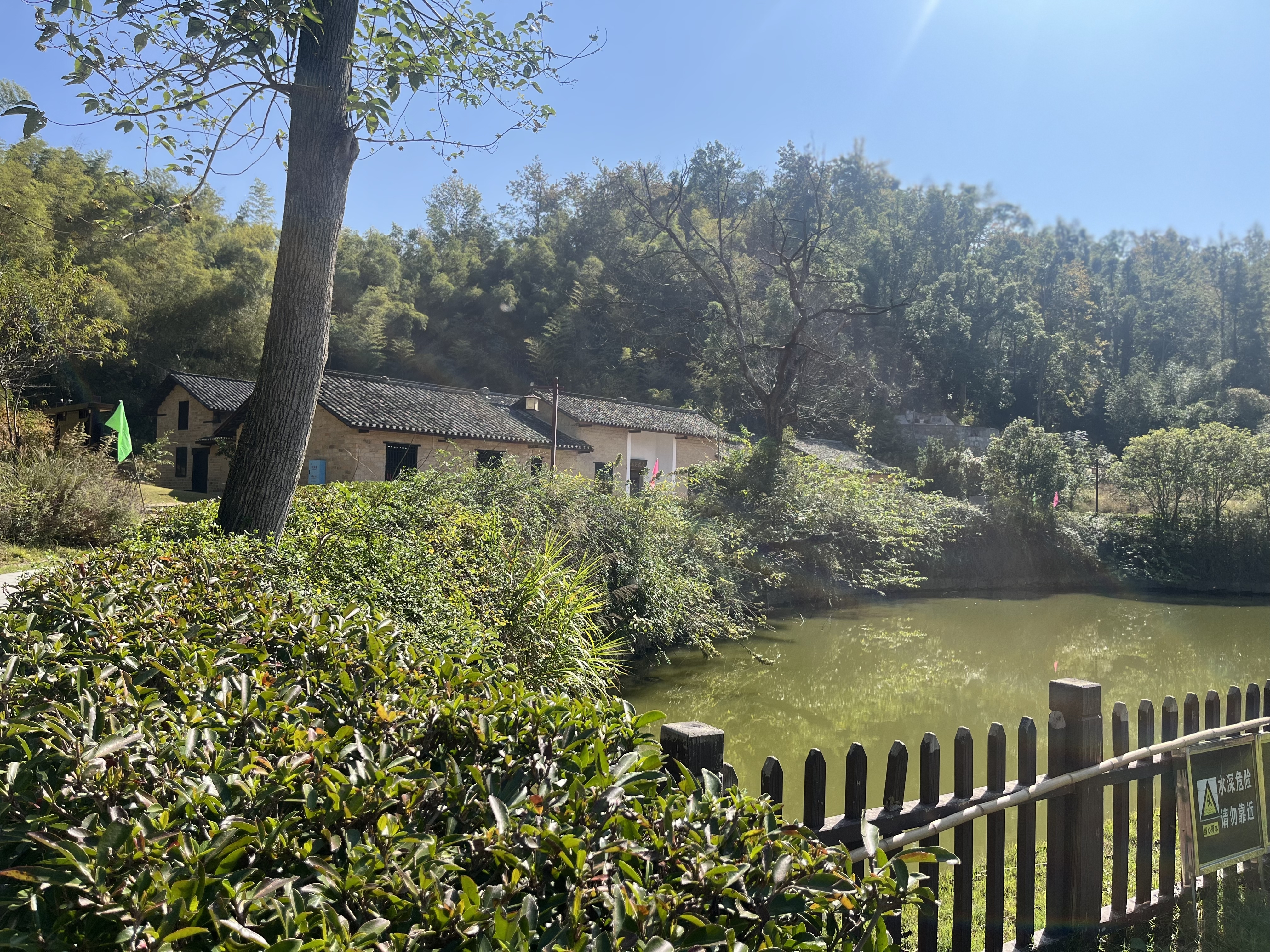 1730280616823335.jpg c38053c0e742e9476be9eb1e063ec226_.jpg