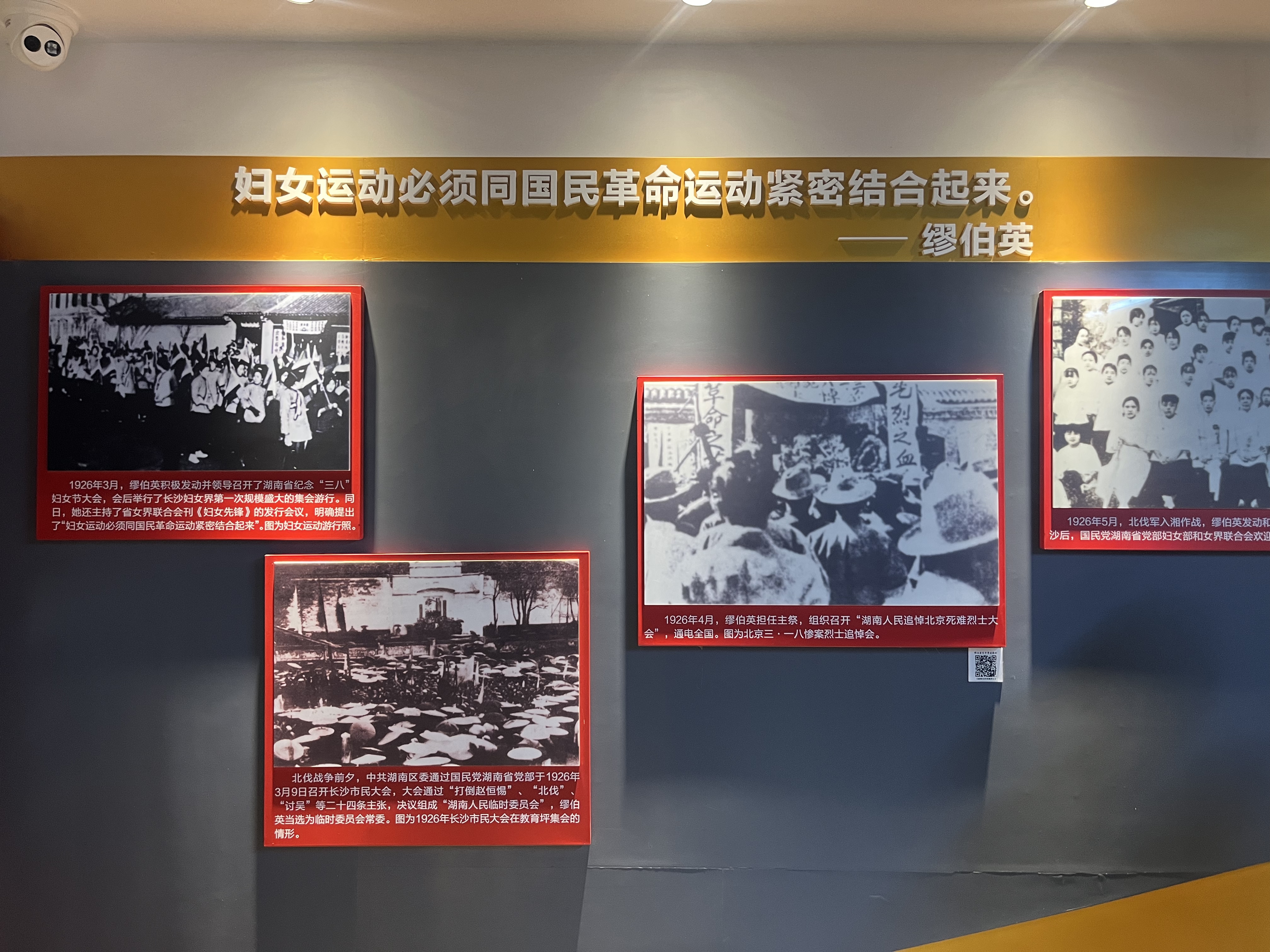 1730280654560084.jpg 771579c3b623c4c74cc056112194e88c_.jpg