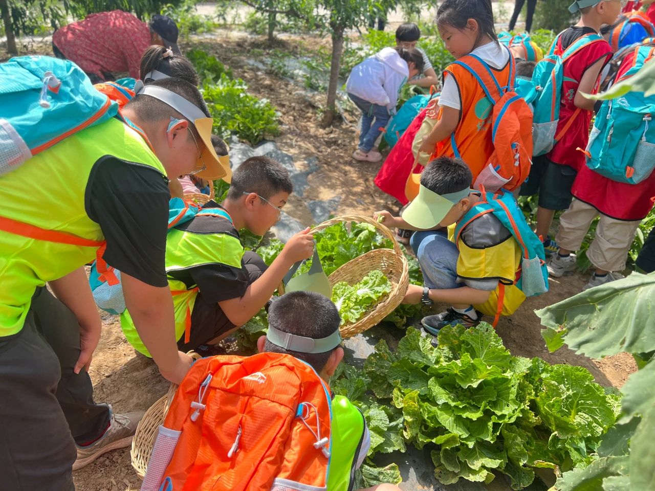 1754889471274239.jpg 微信图片_20250811131727.jpg