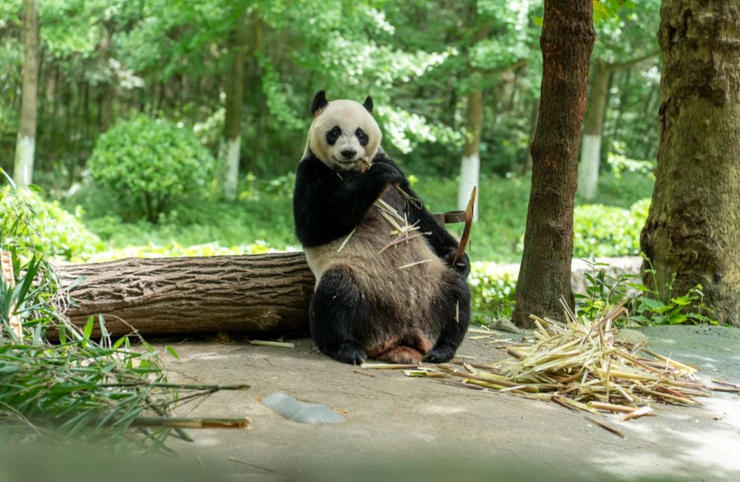 微信图片_2025-08-20_105623_016.jpg