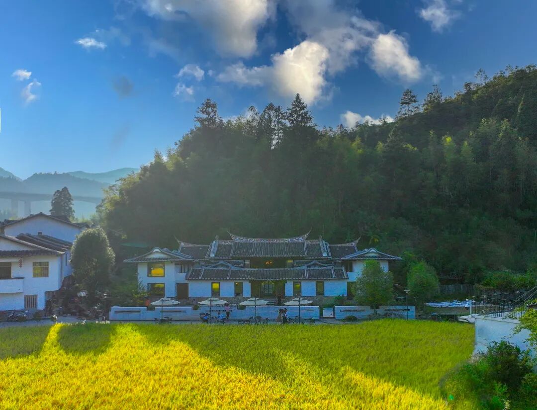 29-1 山有福美山有福美.jpg