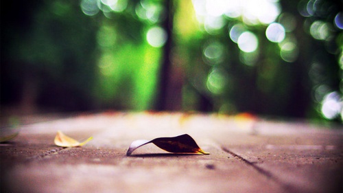 4a8a0d67g913cc5108eda&690