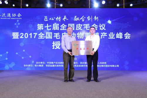 蠡县“中国皮都”荣誉称号授牌仪式