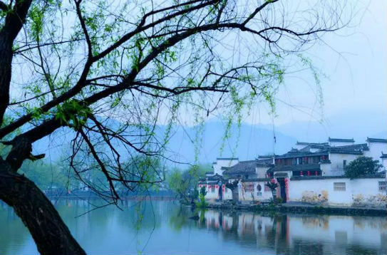 微信图片_20180409165045