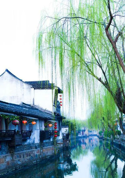 微信图片_20180409165102