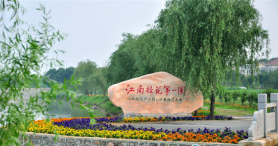 李玉美早期经营矿山开发，后在政府矿山整治，山体复垦的动员下，转向农业开发，成立了芳芝林桂花产业园，面积达1500亩 