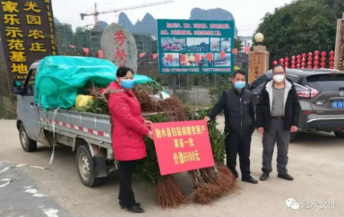 微信图片_20200228200129