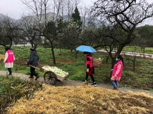 微信图片_20200302143157