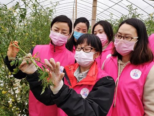 图片5 副本