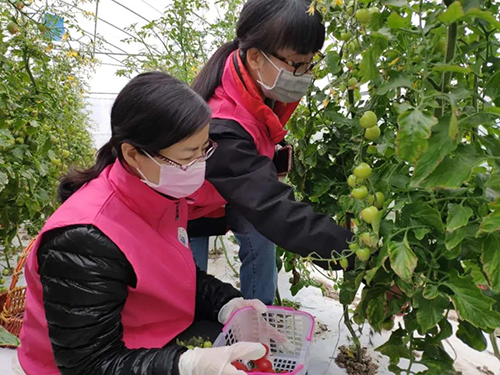 图片6 副本