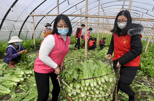 图片25 副本