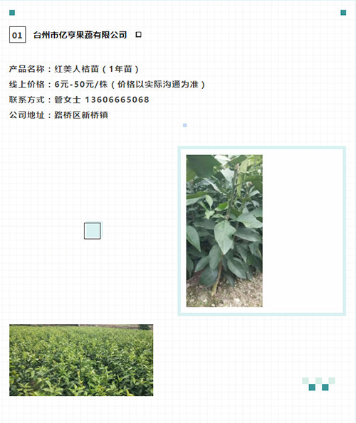 图片30 副本
