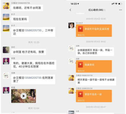 图片46
