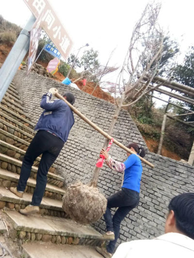 微信图片_20200331204305