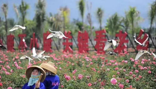 微信图片_20200524090759