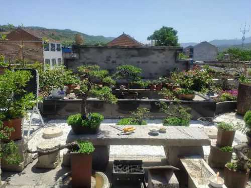 微信图片_20200714171129