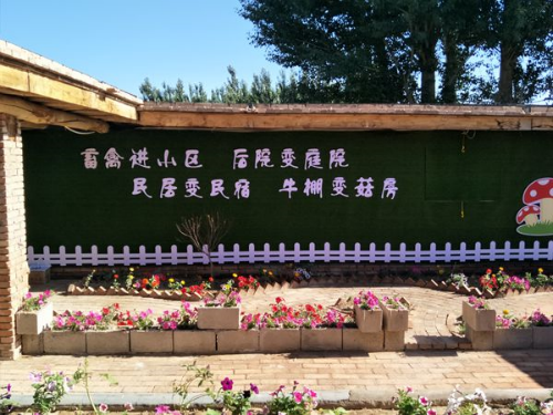 微信图片_20200725103758