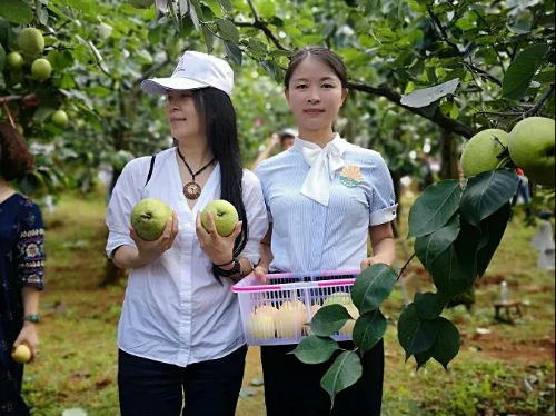 范仲梅