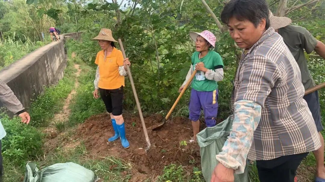 平朗镇妇联干部和巾帼志愿者参与上颜村岩口防洪堤加固工程 (1).jpg