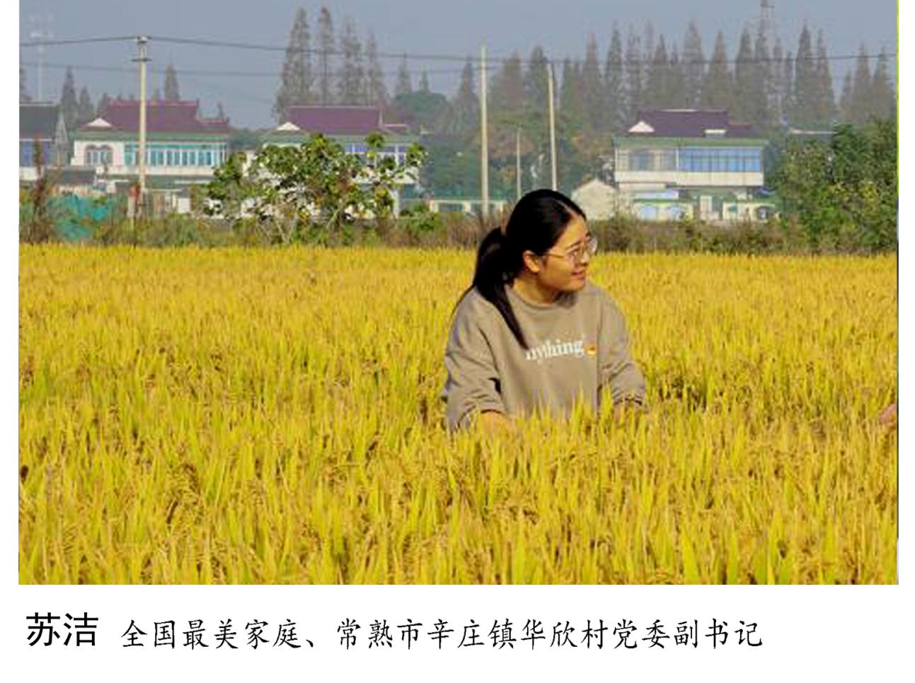 图片31.jpg