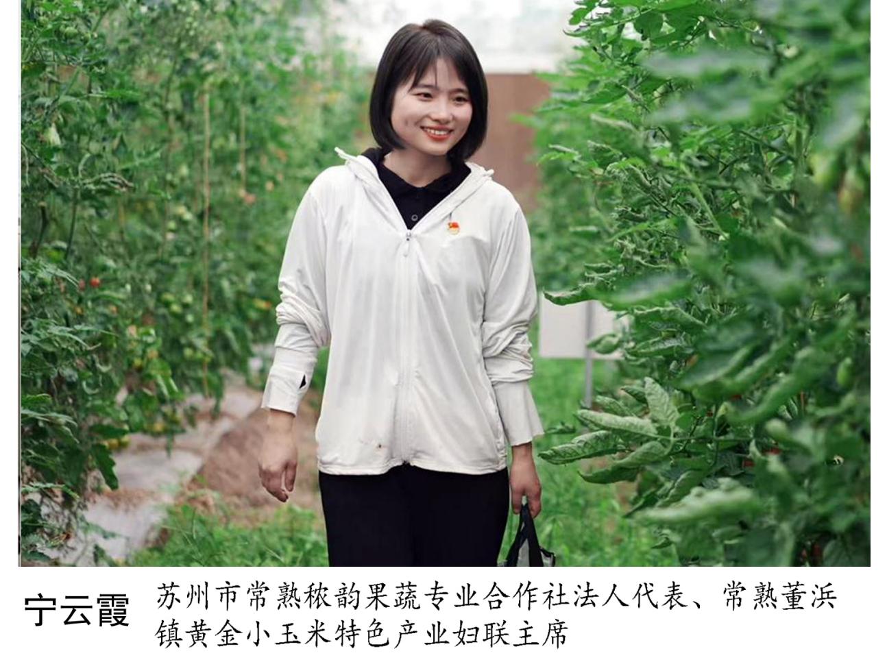 图片35.jpg
