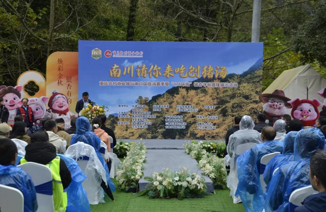 1763106717493193.jpg 图片7.jpg