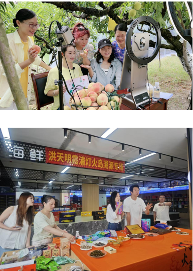 1763976439897817.png image.png