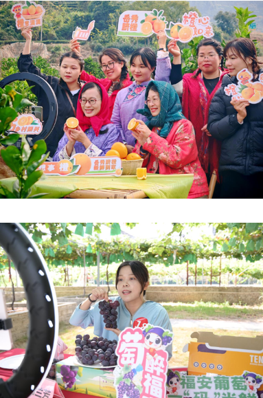 1763977043505957.png image.png