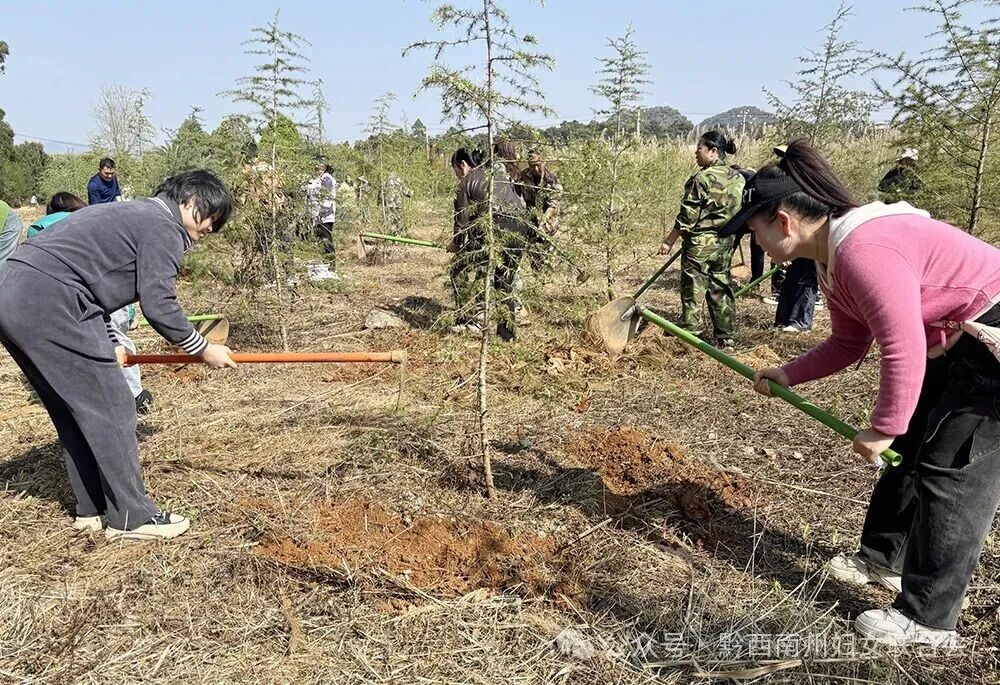 多部门联合开展“共筑绿色家园,守护青绿有我”生态文明实践主题党日活动(图3) 多部门联合开展“共筑绿色家园,守护青绿有我”生态文明实践主题党日活动(图3)