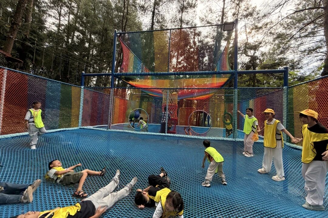 1788760974490351.jpg 1788760974490351.jpg